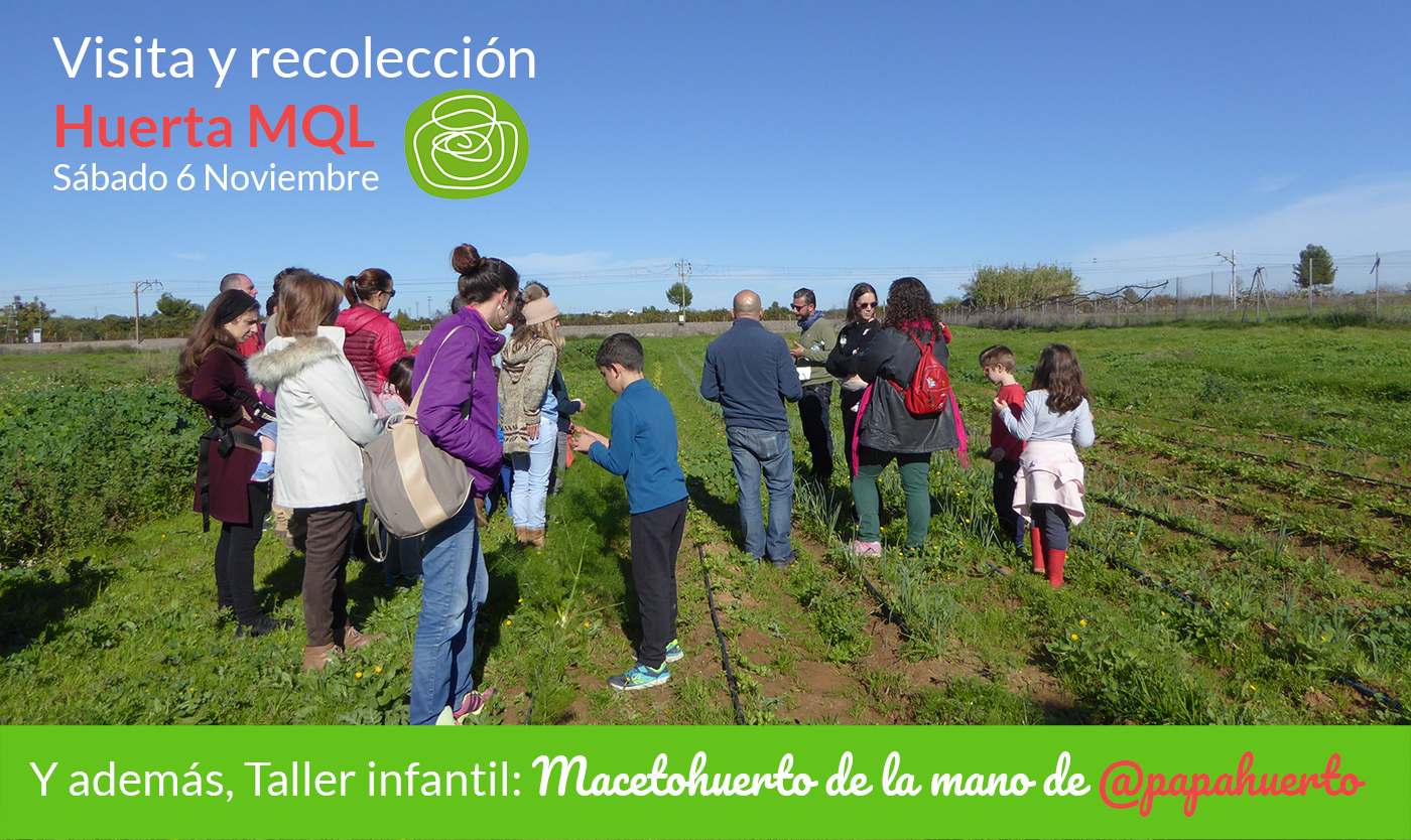 visita-recoleccion-taller-maceto-huerto